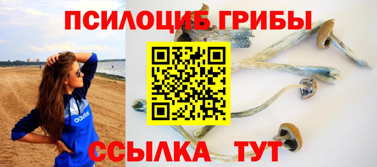 Туапсе  Галлюциногенные грибы GOLDEN TEACHER  Галлюциногенные грибы Psilocybine cubensis  Вход с VPN 