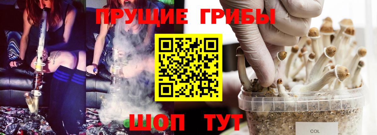 Псилоцибиновые грибы Cubensis Туапсе